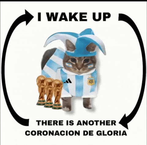 Gusadas97 giphyattribution GIF