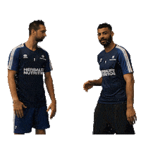 volleyball volley Sticker by EuroVolley2019Fr