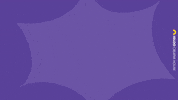 igloocreativehouse wow omg awesome penguin GIF