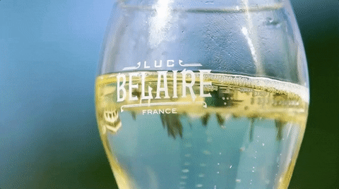 diamond platnumz bottle GIF by Luc Belaire