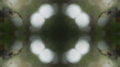 Art Love GIF by jorgemariozuleta
