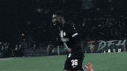 Happy Football GIF by SK Sturm Graz