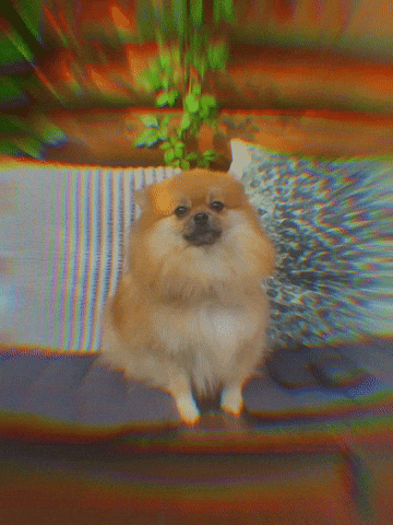 Princess Dancehall GIF by TopVybz