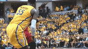 miami heat GIF
