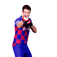 Hockey Barca Sticker by FC Barcelona