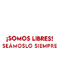 Bicentenario Sticker by Peru Runners