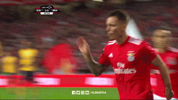 sl benfica celebration GIF by Sport Lisboa e Benfica