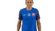 Football Celebration Sticker by Slovensky futbalovy zvaz