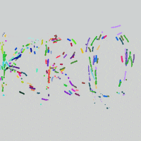 GIF by Boopy Club