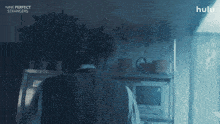 Nps GIF by HULU
