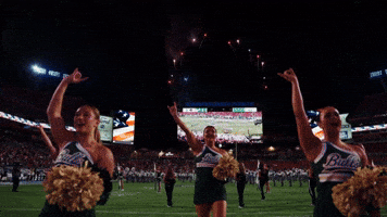 College Football GIF by USF Athletics