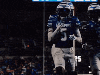 All In Go Tigers Go GIF by University of Memphis