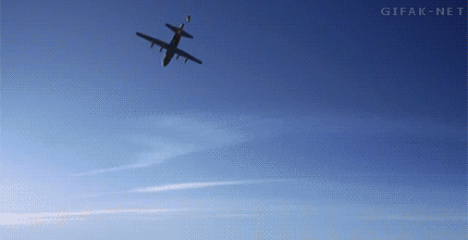 Operation Dumbo Drop GIF by Cheezburger