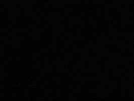 Sybau GIF
