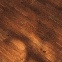 Art Loop GIF by Pi-Slices