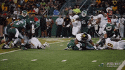 greenwave football athletics wilson tulane GIF