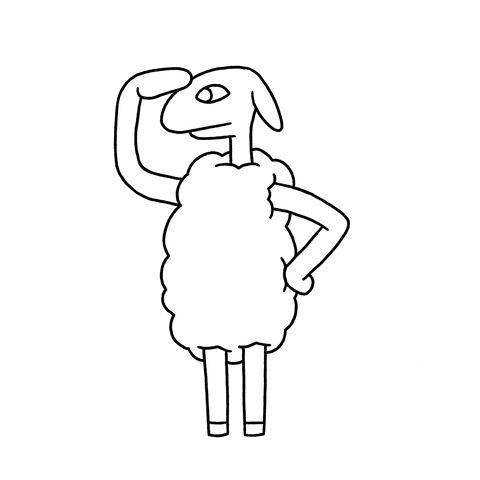 GIF by Allbirds