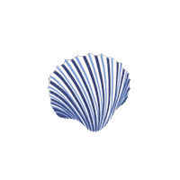 Shell Seashell Sticker by Kyte Baby