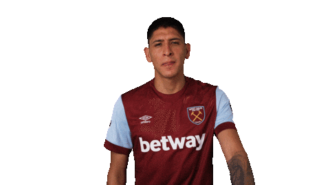 Edson Alvarez Whufc Sticker by West Ham United