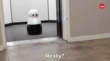 Fun With A Robot