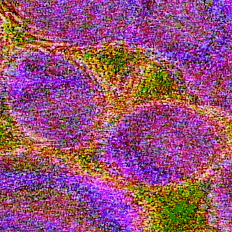 slightwavestudios giphyupload slightwave GIF