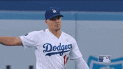 Major League Baseball Sport GIF by MLB
