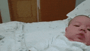 Baby Puppy GIF