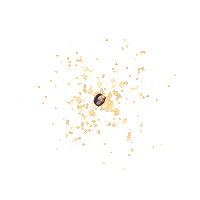 Jihyun117 Sticker by Instagram Tag In Virtual GIF Booth