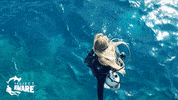 Jump Ocean GIF by Project AWARE