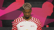 Posing Line Up GIF by Bundesliga