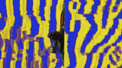 Sick Pop Rock GIF by American Teeth