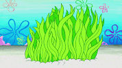 episode 1 whirly brains GIF by SpongeBob SquarePants