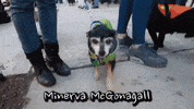 dogs GIF by Badass BK