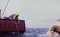 Shark Week Sea GIF by ElmonX