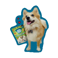 Happy Dog Sticker by Awesome Pawsome Treats
