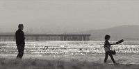 Joaquin Phoenix Beach GIF by A24