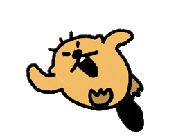 No Way Omg GIF by takadabear