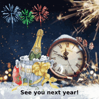 Happy New Year GIF