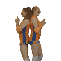 Volleybal Sticker by Nevobo