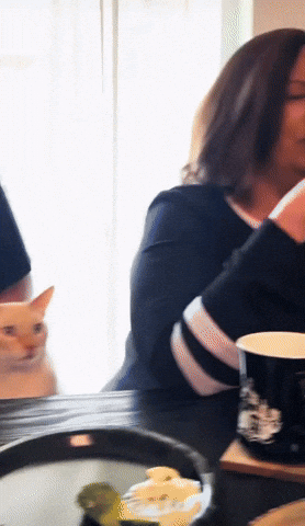 Taureny giphyupload GIF