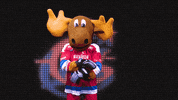 no goal GIF by Newcastle Northstars