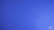 G Men Sport GIF by New York Giants