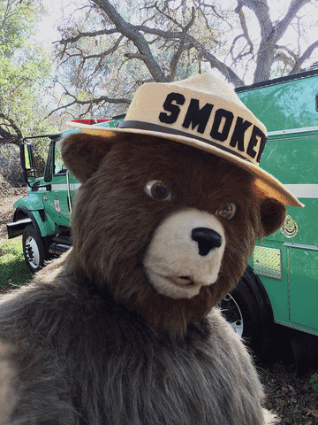 smokey bear GIF by HelpGood
