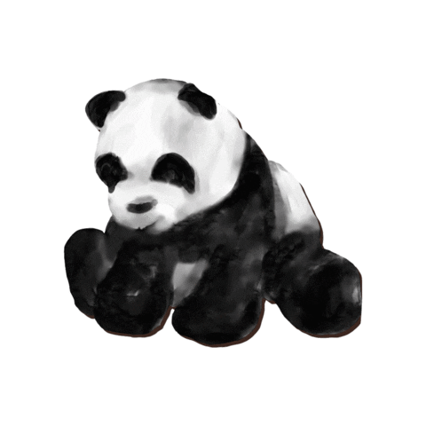 MarieWelke3 giphygifmaker panda pandabear Sticker