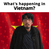 Vietnam GIF