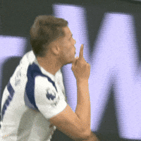 Celebration Goal GIF by Tottenham Hotspur