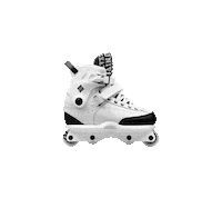 roller rollerblade Sticker by Freexki