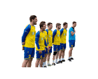 TV-Oberwinterthur fistball tvoberi Sticker