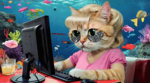 Cat Working GIF by Anne Horel