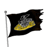 Black Flag Sticker by Degenerate Pirates